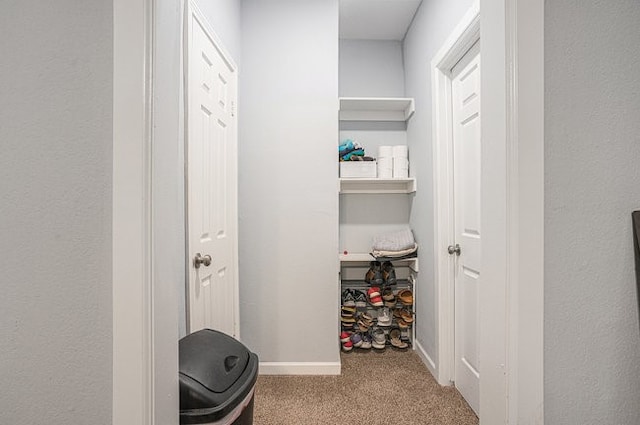 spacious closet featuring light colored carpet