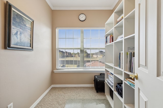 miscellaneous room featuring ornamental molding, a healthy amount of sunlight, and carpet