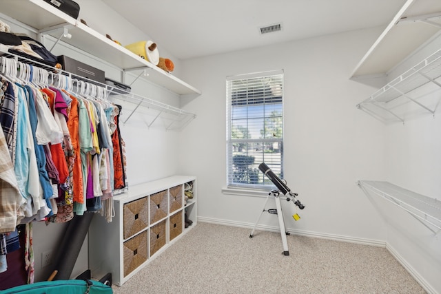 spacious closet with carpet flooring