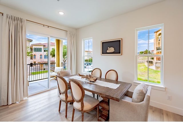 dining room with light hardwood / wood-style floors and plenty of natural light