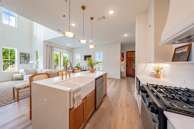 kitchen with sink, light wood-type flooring, stainless steel appliances, custom exhaust hood, and a center island with sink