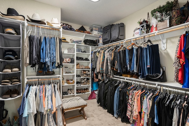 spacious closet featuring carpet