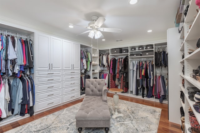 spacious closet featuring wood-type flooring and ceiling fan