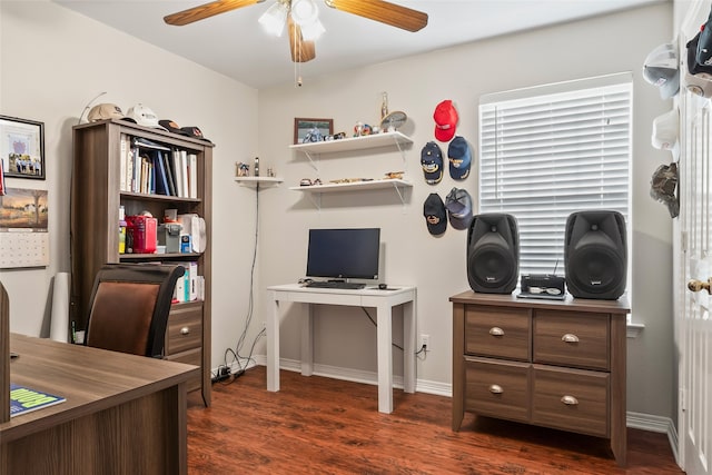 office space featuring dark hardwood / wood-style floors and ceiling fan