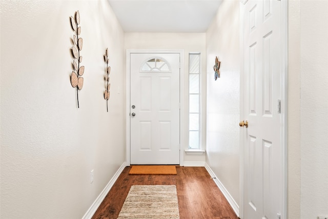 doorway with dark hardwood / wood-style floors