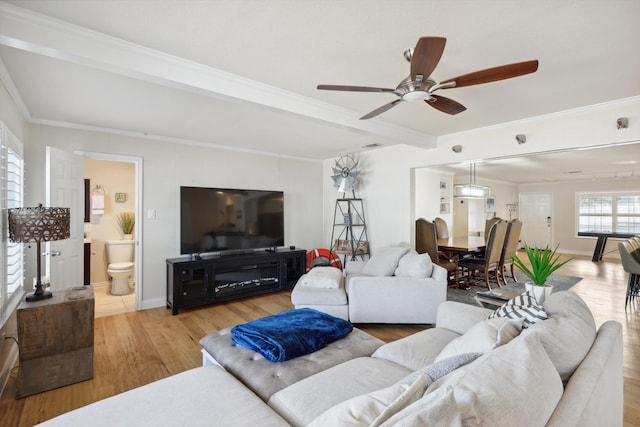 living room featuring ceiling fan, ornamental molding, and light wood-type flooring