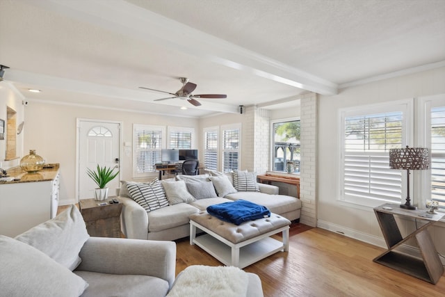 living room featuring light hardwood / wood-style floors, ornamental molding, a healthy amount of sunlight, and ceiling fan