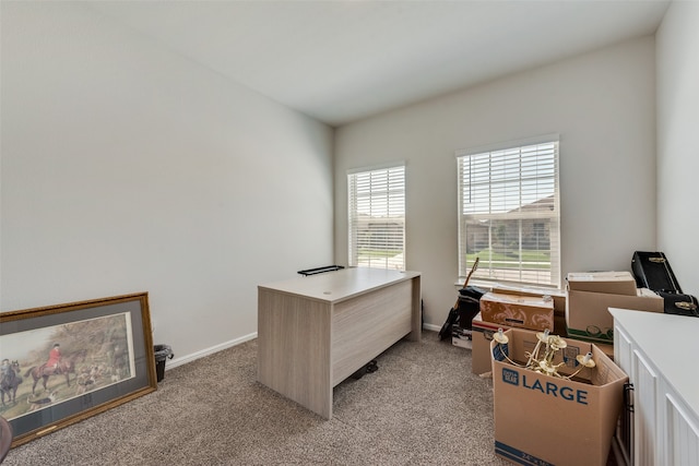 carpeted office with plenty of natural light