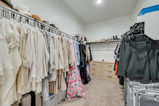 spacious closet featuring carpet floors