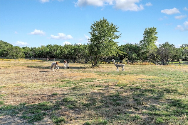 view of yard featuring a rural view