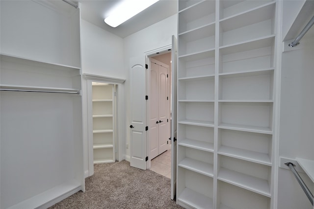 spacious closet with light colored carpet