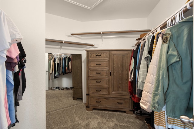 spacious closet with carpet floors