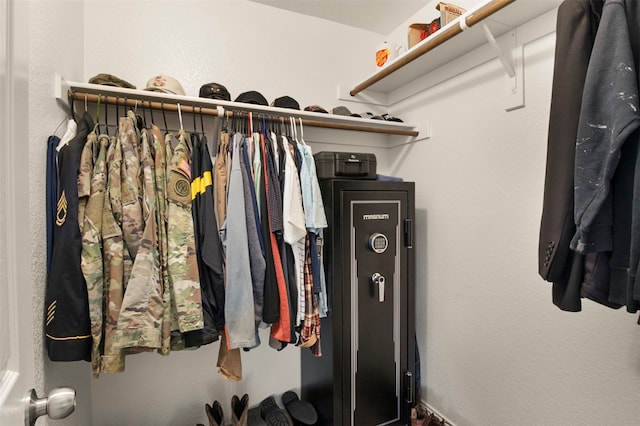 view of walk in closet