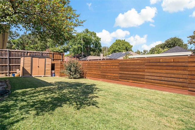 view of yard with a shed