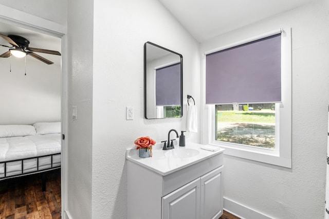 110 Fawn Trl, Mabank, TX 75156 - bathroom featuring wood finished floors, vanity, and ceiling fan