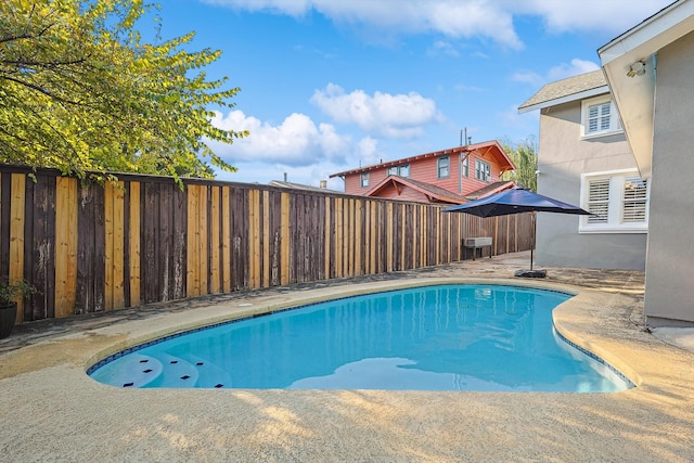 view of pool featuring a patio