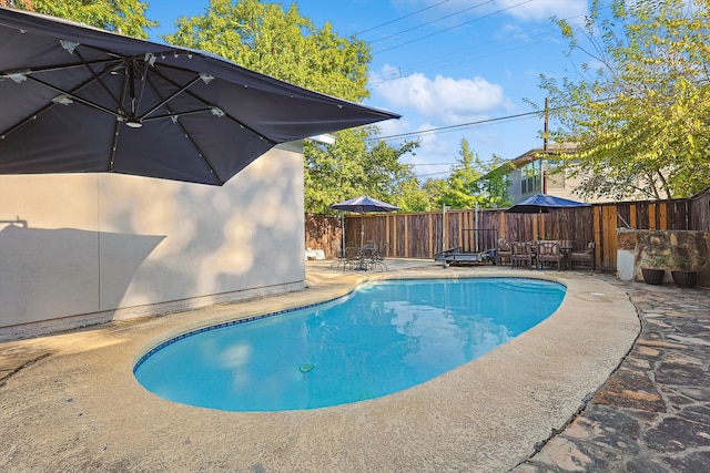 view of pool featuring a patio area