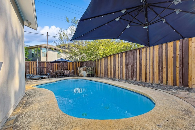 view of pool featuring a patio