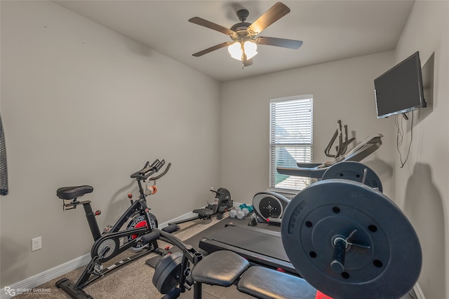 workout area featuring ceiling fan and carpet floors