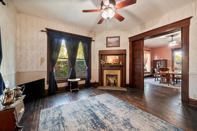 living room featuring ceiling fan, a large fireplace, and dark hardwood / wood-style flooring