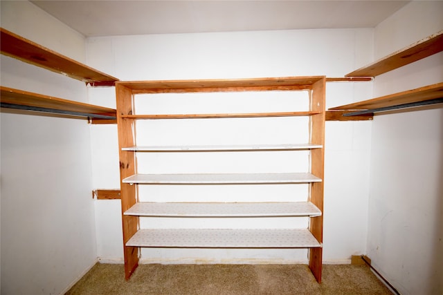 spacious closet featuring light colored carpet