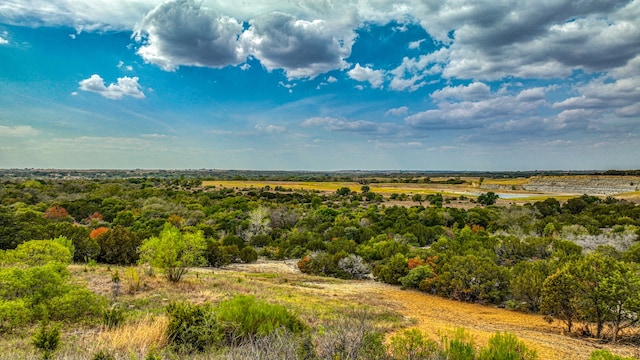 aerial view featuring a rural view