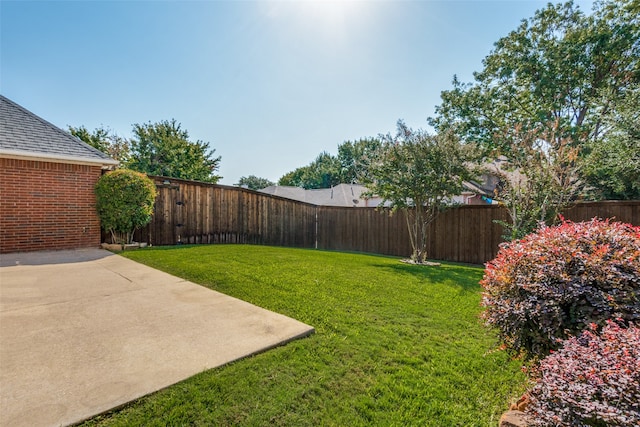 view of yard with a patio