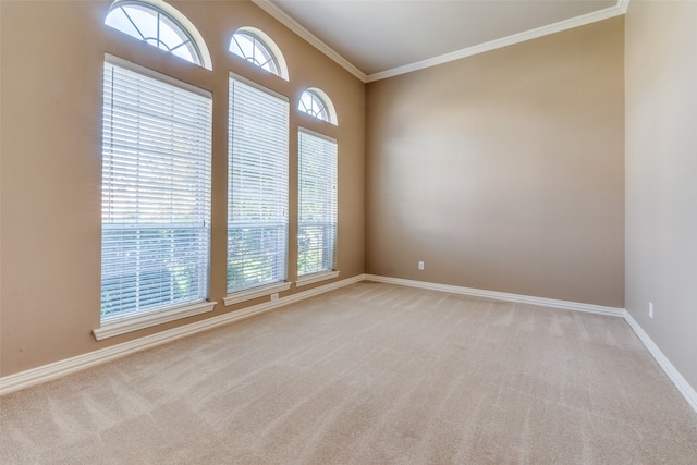 empty room with light carpet and ornamental molding