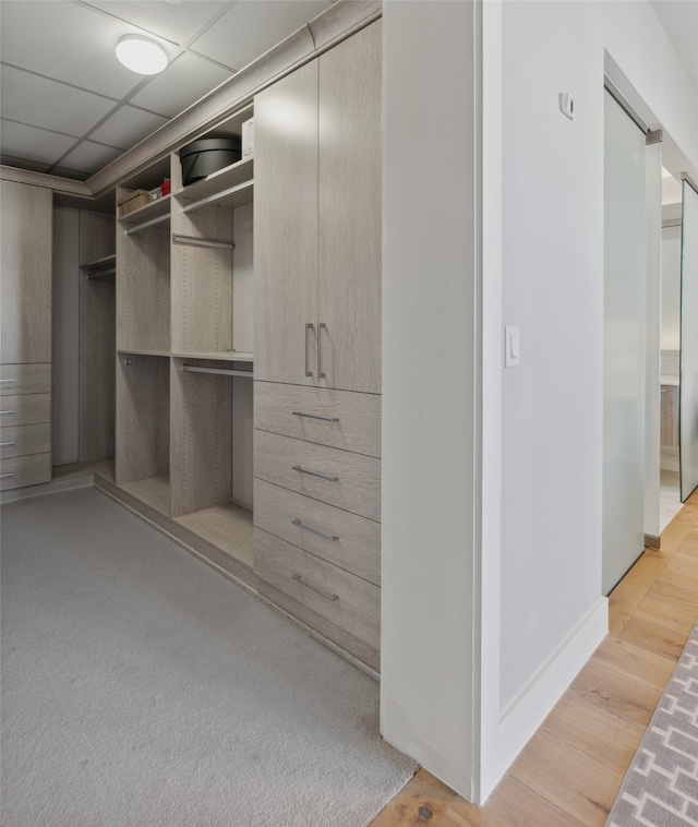 spacious closet with a drop ceiling