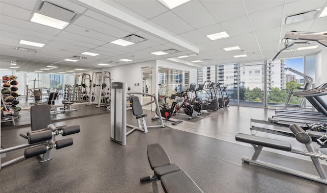 workout area with expansive windows, a healthy amount of sunlight, and a paneled ceiling