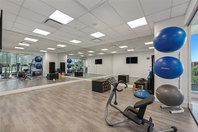 exercise room featuring baseboards, a drop ceiling, and wood finished floors