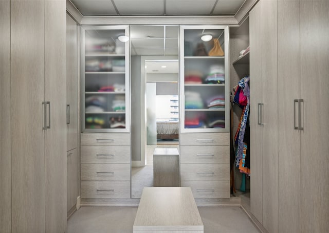 view of closet