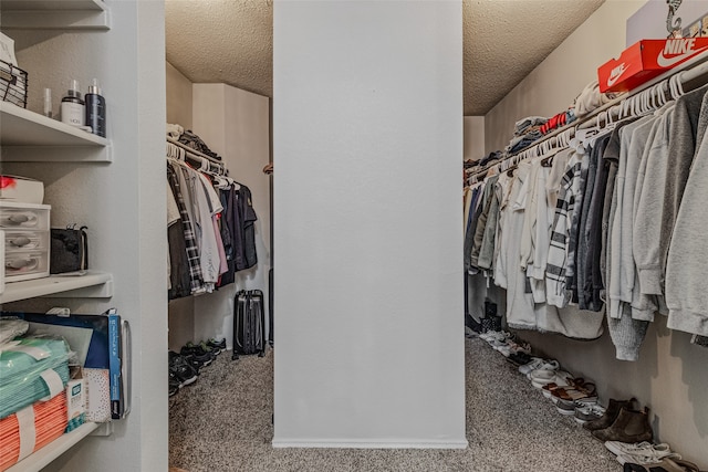 spacious closet featuring carpet