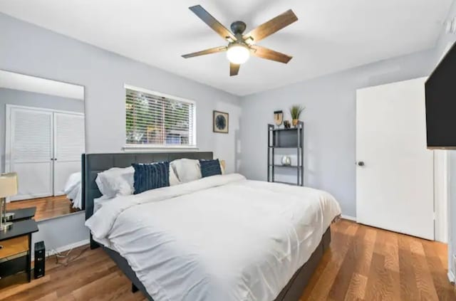 bedroom featuring ceiling fan and dark hardwood / wood-style floors