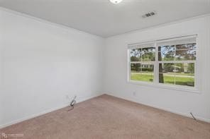 spare room with ornamental molding and carpet