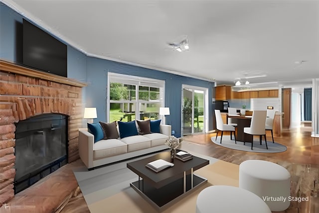 living room featuring a fireplace and light wood-type flooring