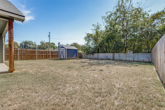 view of yard with a storage shed