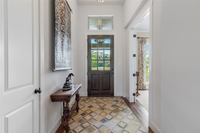 entryway with a healthy amount of sunlight and wood-type flooring