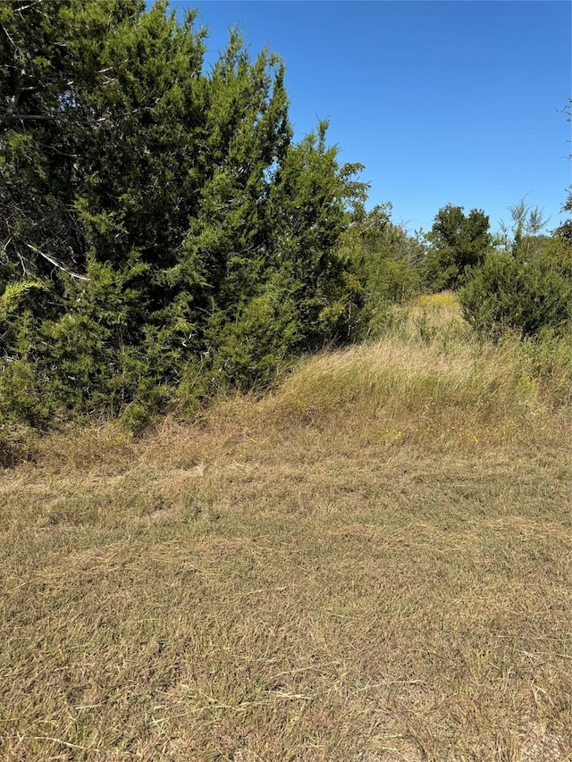 36026 Cedar Ridge Dr, Whitney TX, 76692 land for sale