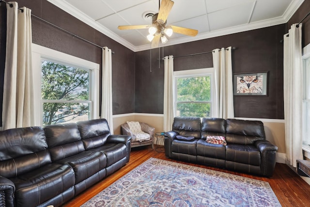 living room featuring ornamental molding, dark hardwood / wood-style floors, and ceiling fan