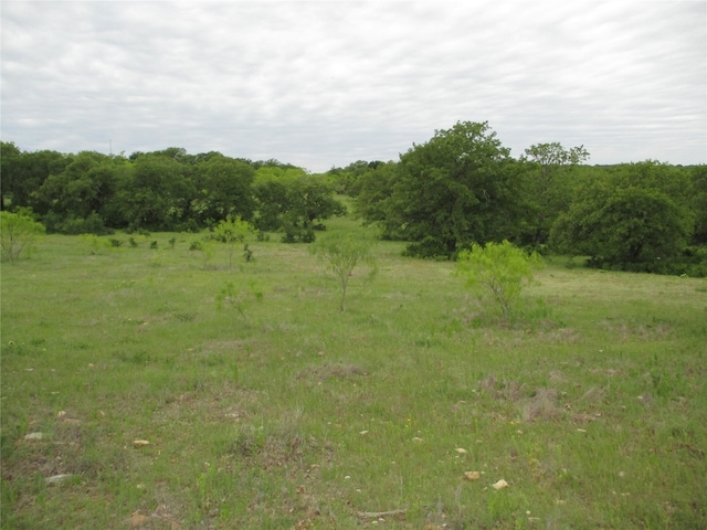 23AC Erwin, Jacksboro TX, 76458 land for sale