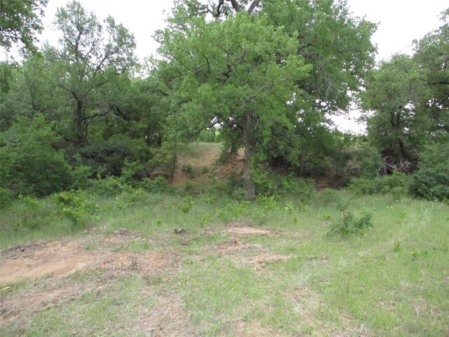 Listing photo 2 for 23AC Erwin, Jacksboro TX 76458