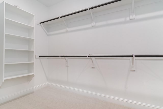 walk in closet with carpet