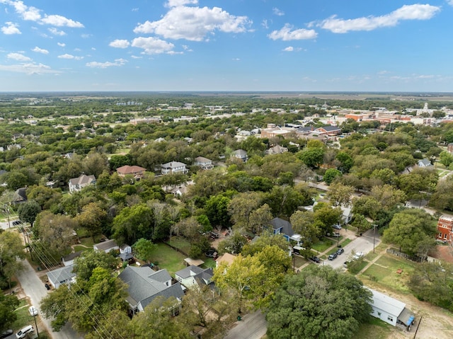 drone / aerial view