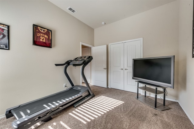 exercise area featuring carpet flooring