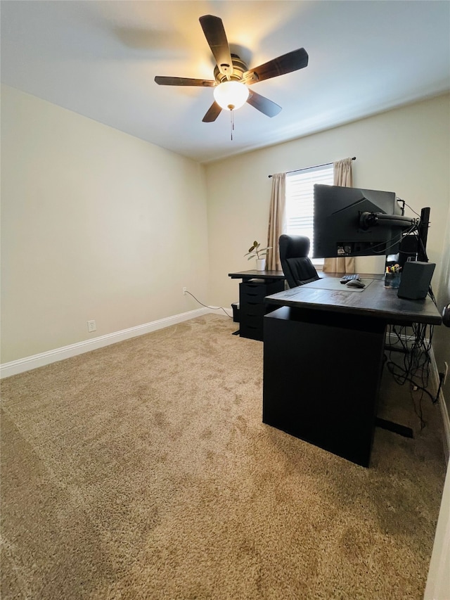 office space featuring ceiling fan and carpet flooring