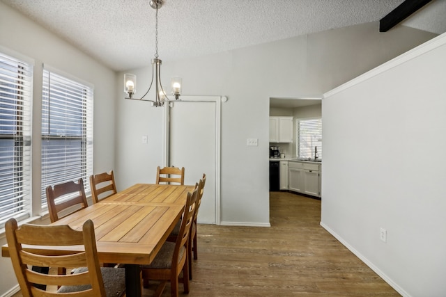 dining space with sink, a textured ceiling, a wealth of natural light, and dark hardwood / wood-style floors