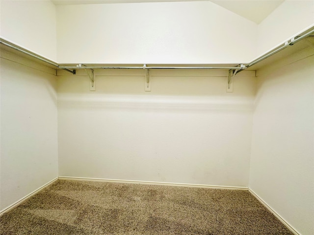 spacious closet with carpet flooring