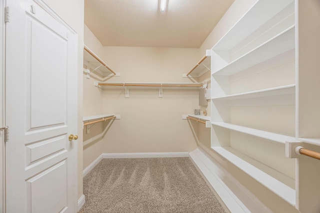 spacious closet featuring light colored carpet