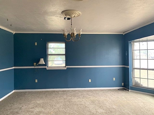 carpeted spare room with ornamental molding, a textured ceiling, and plenty of natural light